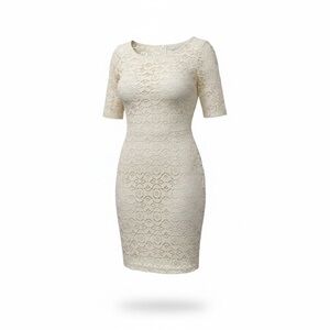 Banana Republic Cream Lace Long Sleeve Dress